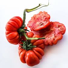 Afbeeldingsresultaat voor costoluto genovese tomato