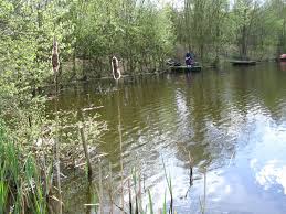 Image result for Bay Malton Angling Club