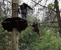 Image result for Go Ape! Moors Valley