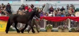 Image result for Lakes Riding Club