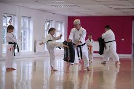 Image result for Hidden Dragon Karate-Do