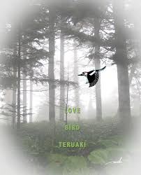 「 ｿｽ ｽｿ ｽｽA ｿｽ ｽｿ ｽｽ[ ｿｽ ｽｿ ｽｽ ｿｽ ｽｿ ｽｽ ｿｽ ｽｿ ｽｽ ｿｽ ｽｿ ｽｽ ｿｽ ｽｿ ｽｽ` ｿｽ ｽｿ ｽｽF ｿｽ ｽｿ ｽｽA」の画像検索結果