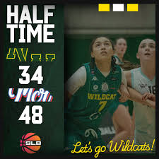 Image result for Nottingham Wildcats