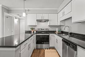 Image result for ◆to2qN8W1wA 　