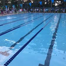 Image result for Aberavon Swimming Club