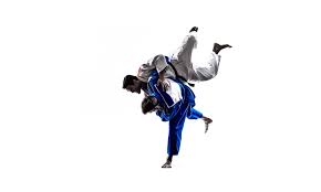 Image result for Felixstowe Judo club