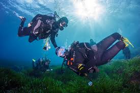 Image result for Lutterworth Sub-Aqua Club