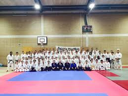Image result for A BRITISH JUJITSU RYU in Lancing