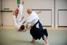 Image result for Goryukai Aikido Yoshinkan (Chichester)