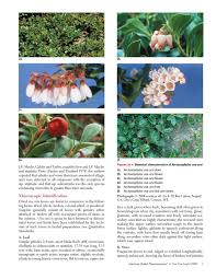 Attēlu rezultāti vaicājumam “Exobasidium uvae-ursi”