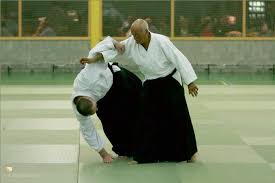 Image result for Ronin Yudansha Ryu