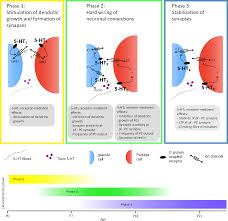 Image result for D.A.R.E!! Development + RadiSense III Y-Axis