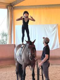 Image result for North Lammermuir Riding Club