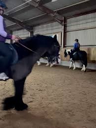 Image result for Uwe Riding Club