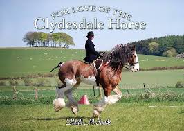 Image result for Blackpool & Fylde Horse Club