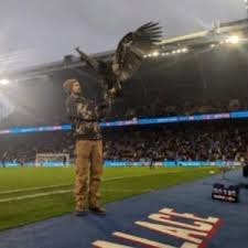 Image result for Palace Eagles Octopush Club