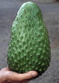 Attēlu rezultāti vaicājumam “Poa angustifolia fruit”