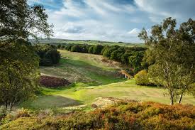 Image result for Chelmsford Gc