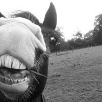 Image result for Weybridge Equestrian Centre