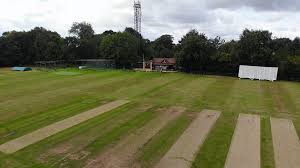 Image result for Shenley Village Cricket Club