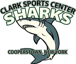 Image result for Sharks Swimming Club Of Mottingham