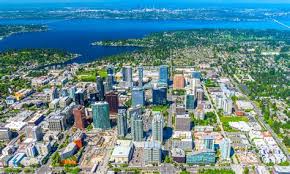 Image result for Bellevue