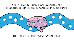 Image result for consciousness