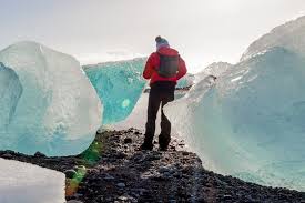 Image result for Ildblomkarse