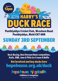 Image result for Pontblyddyn Cricket Club