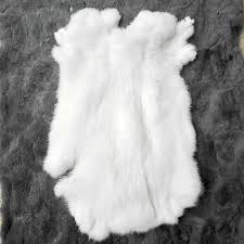 Image result for white rabbit skin texture