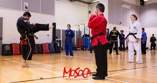 Image result for Hillcross, Raynes Park & Redhill Choi Kwang-Do