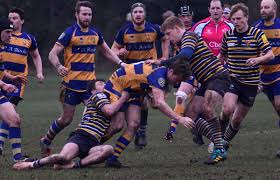 Image result for Old Cranleighan Football Club