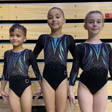 Image result for Wyre Forest School Of Gymnastics