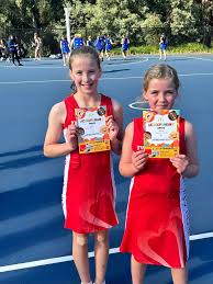 Image result for Shrivenham Netball Club