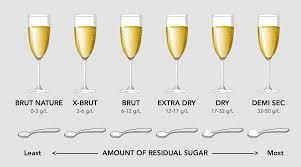 Image result for [Champagne]