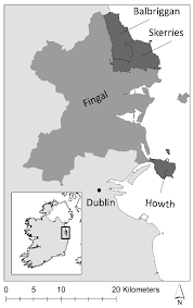 Attēlu rezultāti vaicājumam “Larus argentatus nest”