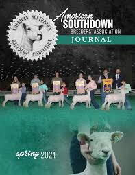 Image result for Southdown Divers