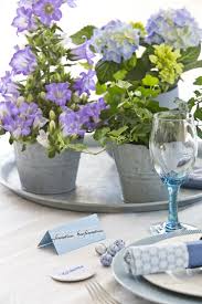 Image result for Campanula formanekiana