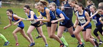 Image result for Royal Sutton Coldfield Athletics Club
