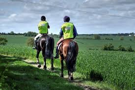 Image result for British Horse Society