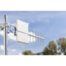 Image result for digitenne yagi