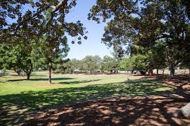 Image result for Musgrave Bowling Club