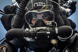 Image result for Headstream Divers