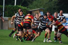 Image result for Bridgwater & Albion RFC