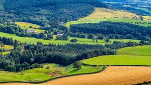 Image result for Great Ayton Cricket & Football Club