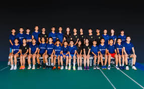 Image result for Rydekings Badminton Club