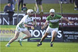 Image result for Sarsfields Hurling Club