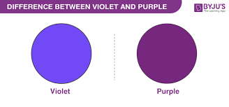 Image result for violet