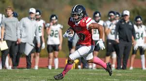 Image result for Abbey Lane Junior Football Club