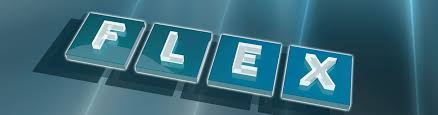 Image result for flex